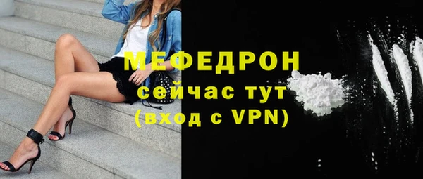 индика Богданович