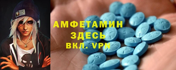 индика Богданович