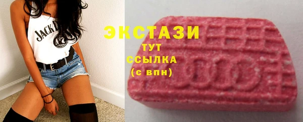 индика Богородск