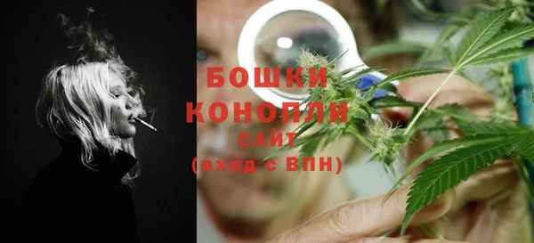 индика Богданович
