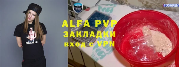 индика Богородск