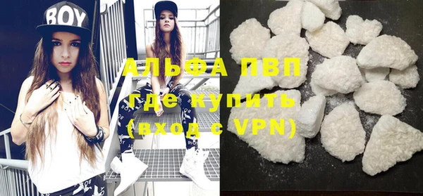 индика Богданович