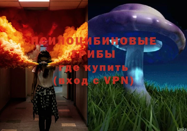 индика Богородск