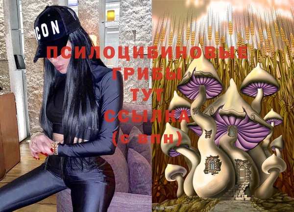 индика Богданович