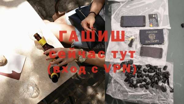 индика Богданович