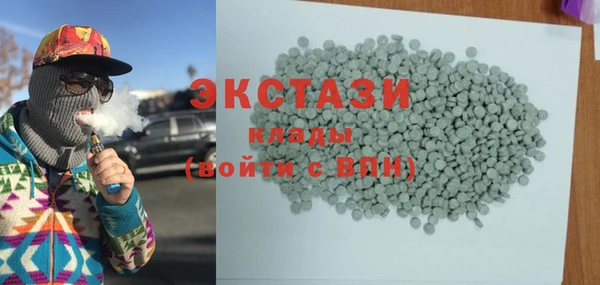 индика Богородск