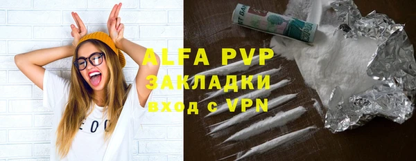 индика Богданович