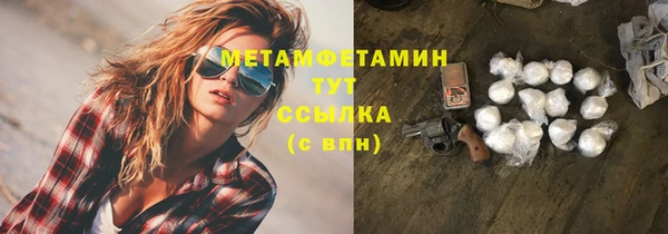 индика Богородск