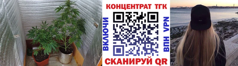OMG вход  нарко площадка официальный сайт  ТГК концентрат  Кувшиново 