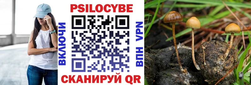 Псилоцибиновые грибы мицелий  купить  сайты  Кувшиново 